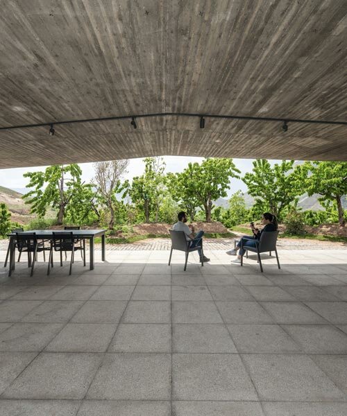 olgooco encloses its underground 'inside home' with rooftop gardens in iran